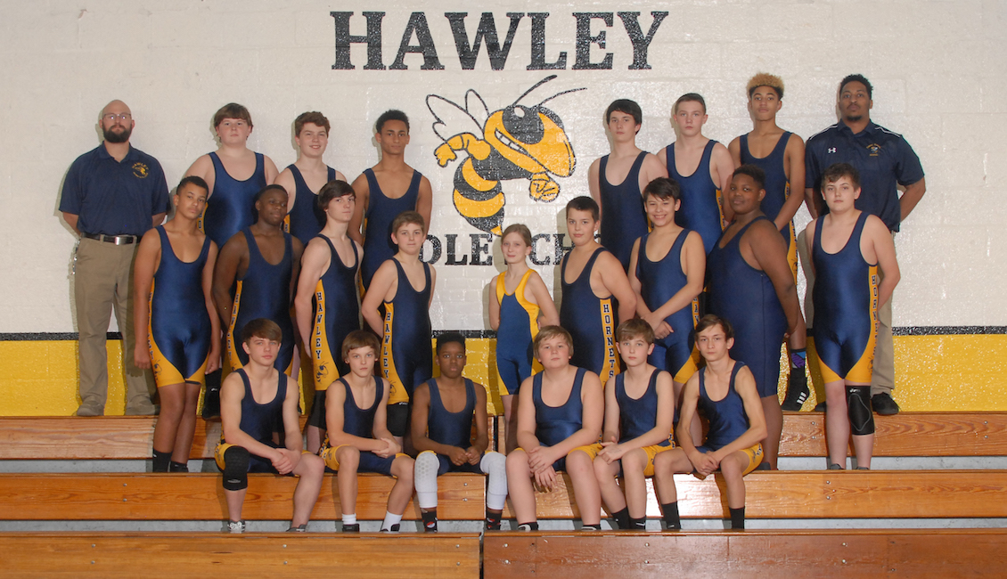 Go Go I Am A Hawley Me Tech